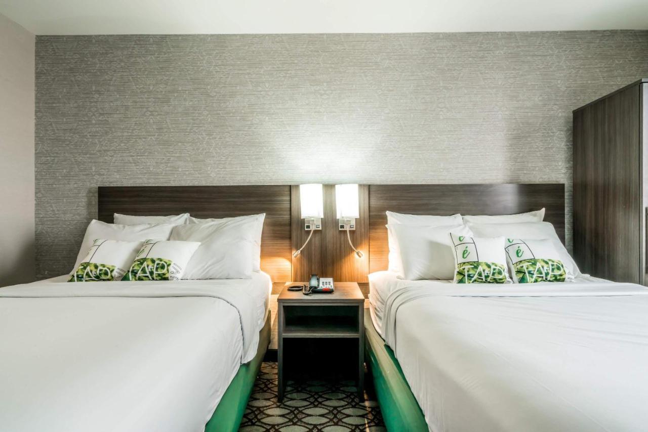 Letap Hotel Near Airtrain Jfk Airport Nowy Jork Zewnętrze zdjęcie